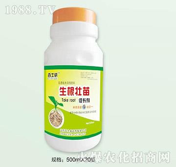 ����������L(zh��ng)��-��ʿ��