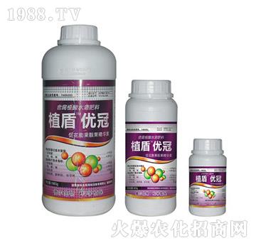 ��(y��u)��-ֲ��-��?t��ng)����? />
                                </div>
                            </div>
                            
                            <style type=