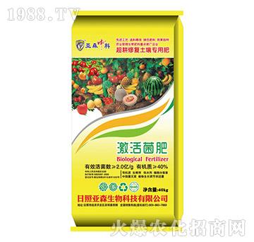 �������-��ɭ����