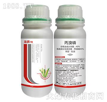 40%������-���N7̖(h��o)-���N����