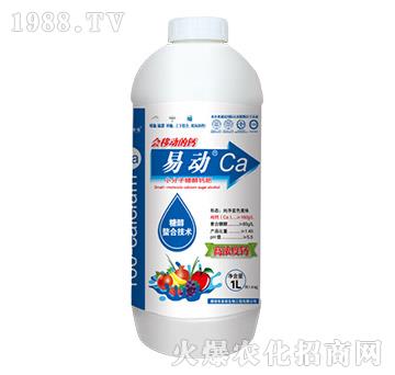 �ׄ��}-������