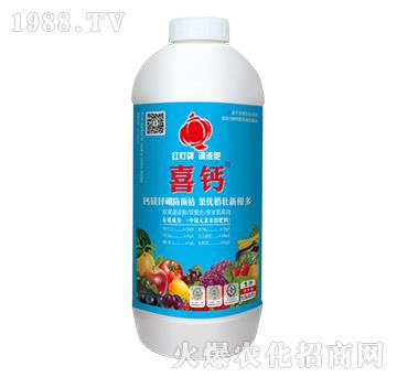 ϲ�}-������