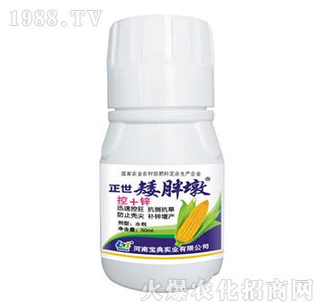 �������ֶ�-���䌍(sh��)�I(y��)