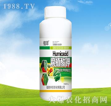 ��ֳ���-�S�r�r��