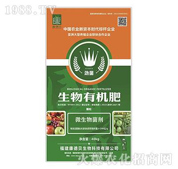 ΢�������-�ž������ЙC�ʣ��w����-����ؐ