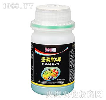 240g�������00-520-350+TE-Ӣ����