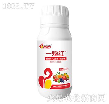 һ�ڼt-�����\