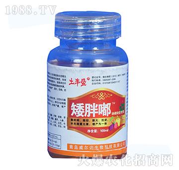 ֲ���{(di��o)��(ji��)�����K���o���ã�-�����-�����_