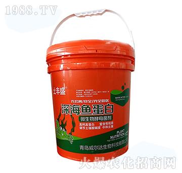 ��~����-���Sʢ-�����_