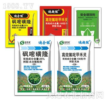 ��ȫ��+�ϳ���-�ݵ�˹