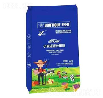 С�����������-���f(w��n)��-꿾�