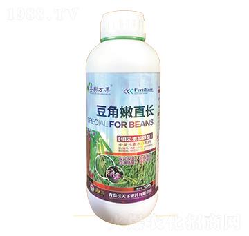 ������ֱ�L(zh��ng)-ʥ���f(w��n)��-������