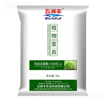 ֲ��Ҽ��-�����S