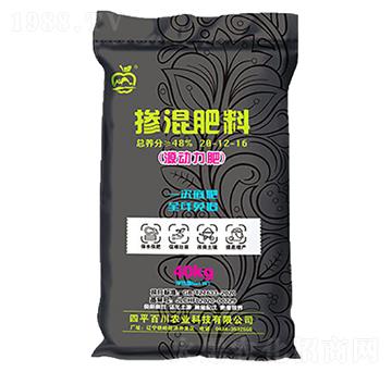 �������-�ٴ�