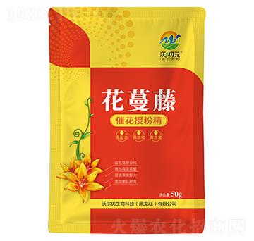 �߻��ڷ۾�-������-�ֳ�Ԫ-�֠���(y��u)