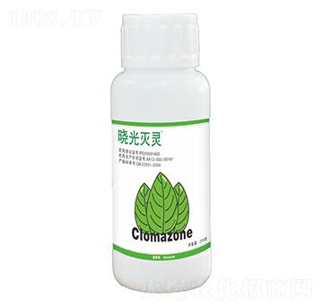 480��ÿ�����f����-�Թ���`-ӯ�x