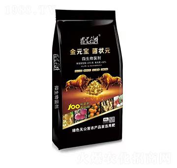 ΢�������-��Ԫ������