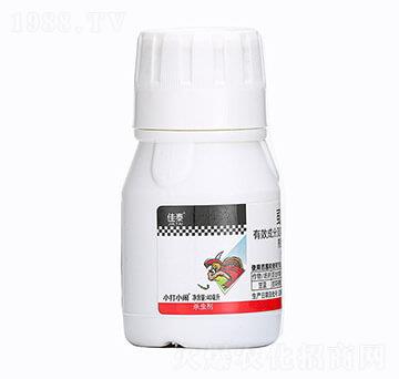 40mlʭ����-��̩-��������