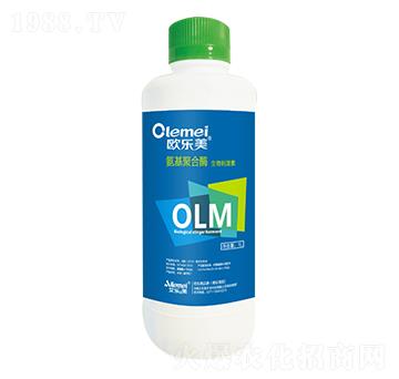 ���ۺ�ø����̼���-�W����-������