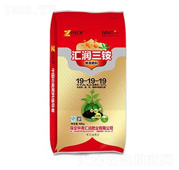 �������19-19-19 �R��(r��n)���� �Ј�R��(r��n)