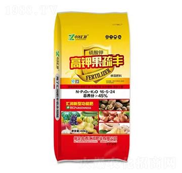 ��⛹����S16-5-24 �Ј�R��