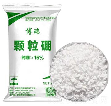 �w����ʩ��� �����r(n��ng)��