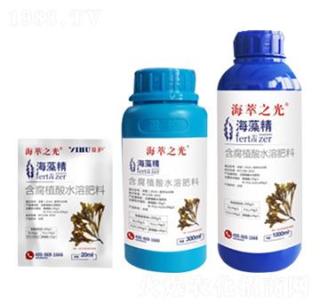 ����ϵ�ЮaƷ ����֮�� ��ӯ