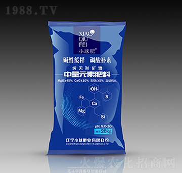 ����Ԫ�ط���-С���