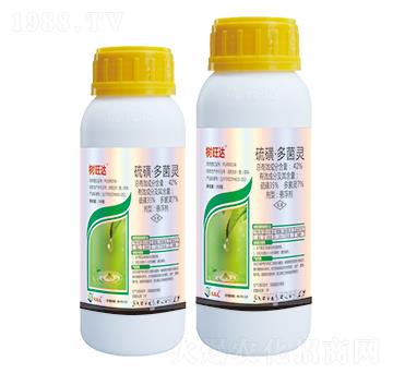 42%��ǡ�����`-�����_-��(y��u)���_