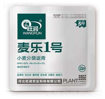 С�����Y����-����(l��)1̖(h��o)