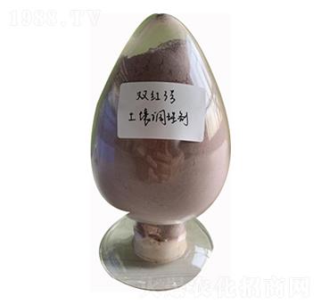 �����{�턩-�p�t3̖-�p�t�r��