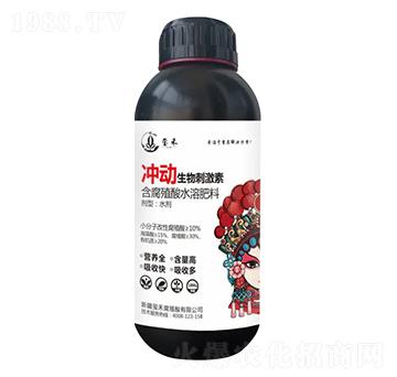 ƿ�b�_������̼���-�t��