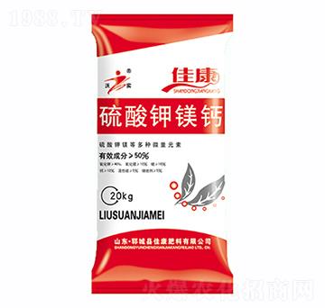 ������}�V-�ѿ�