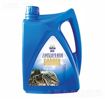 �Ř�͉�������-�����r��