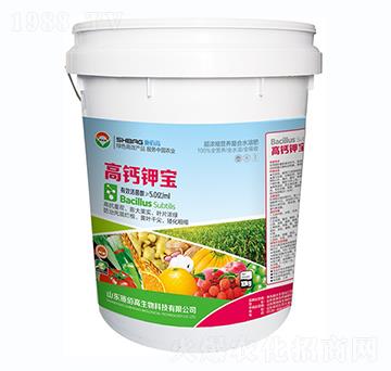 ���}⛌�-ʩ�۸�