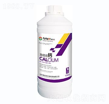 1000gʩ�۸��}-ʩ�۸�