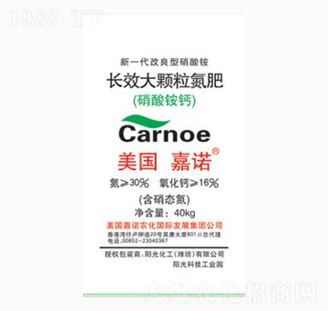 �LЧ���w������-ꖹ⻯