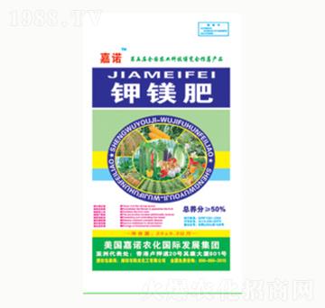 ��V��-ꖹ⻯��