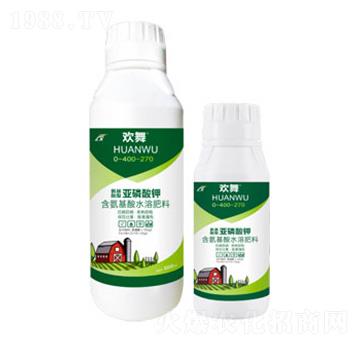 �������́������-�g��-�B������