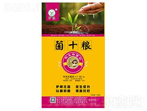 ΢�������-��ʮ�Z-�f