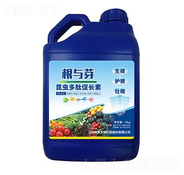 ���x(ch��ng)���Ĵ��L(zh��ng)��-���cѿ-��������