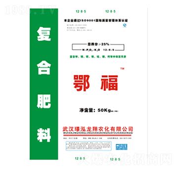 25%�ͺϷ���-����-�Z������