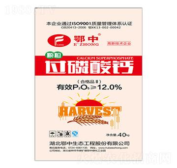 12%�^(gu��)�����}-���зʘI(y��)