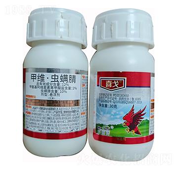 12%�׾S���x����-ϲ��-����������