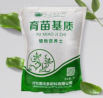 ������|(zh��)-���ֶ����
