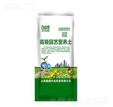 �߼�(j��)�@ˇ�I�B(y��ng)��-���ɵ�-�ڵ��r(n��ng)�I(y��)