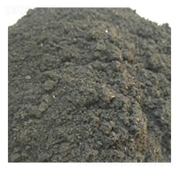 �����ЙC��-�ɺ�