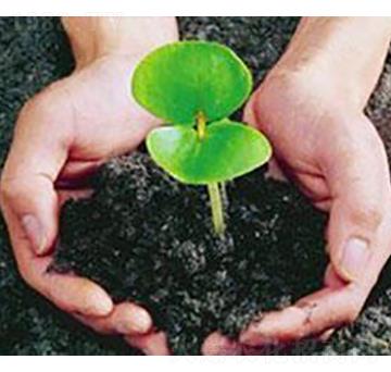 �Ϲ��ЙC��-�ɺ�