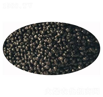 ���{��������-�l(f��)ؔ��