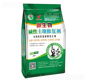 ΢����A�������ޏ̈́�-�A��